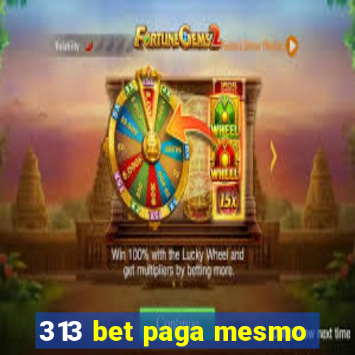 313 bet paga mesmo